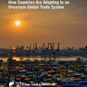 The Aftermath of the 2025 U.S. Tariffs: How Countries Are Adapting to an Uncertain Global Trade System