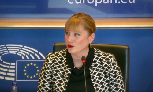 Risteska EP Committee on Budgets