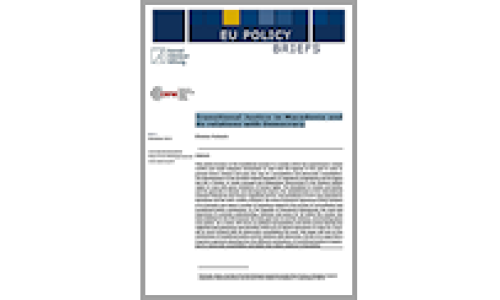 Policy Briefs 24